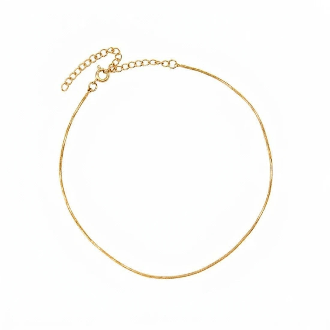 Delavine Anklet: thin gold chain anklet with extender chain
