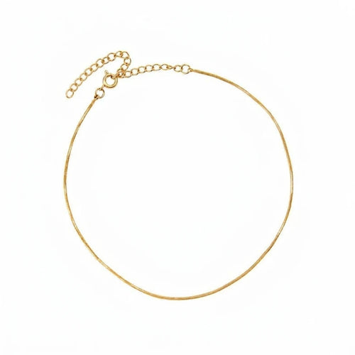Delavine Anklet: thin gold chain anklet with extender chain