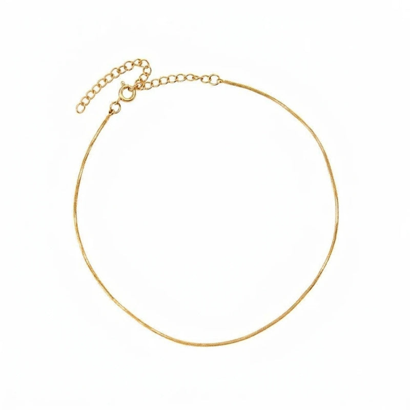 Delavine Anklet: thin gold chain anklet with extender chain